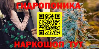 гидропоника Кунгур