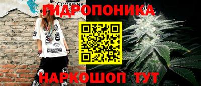 гидропоника Кунгур